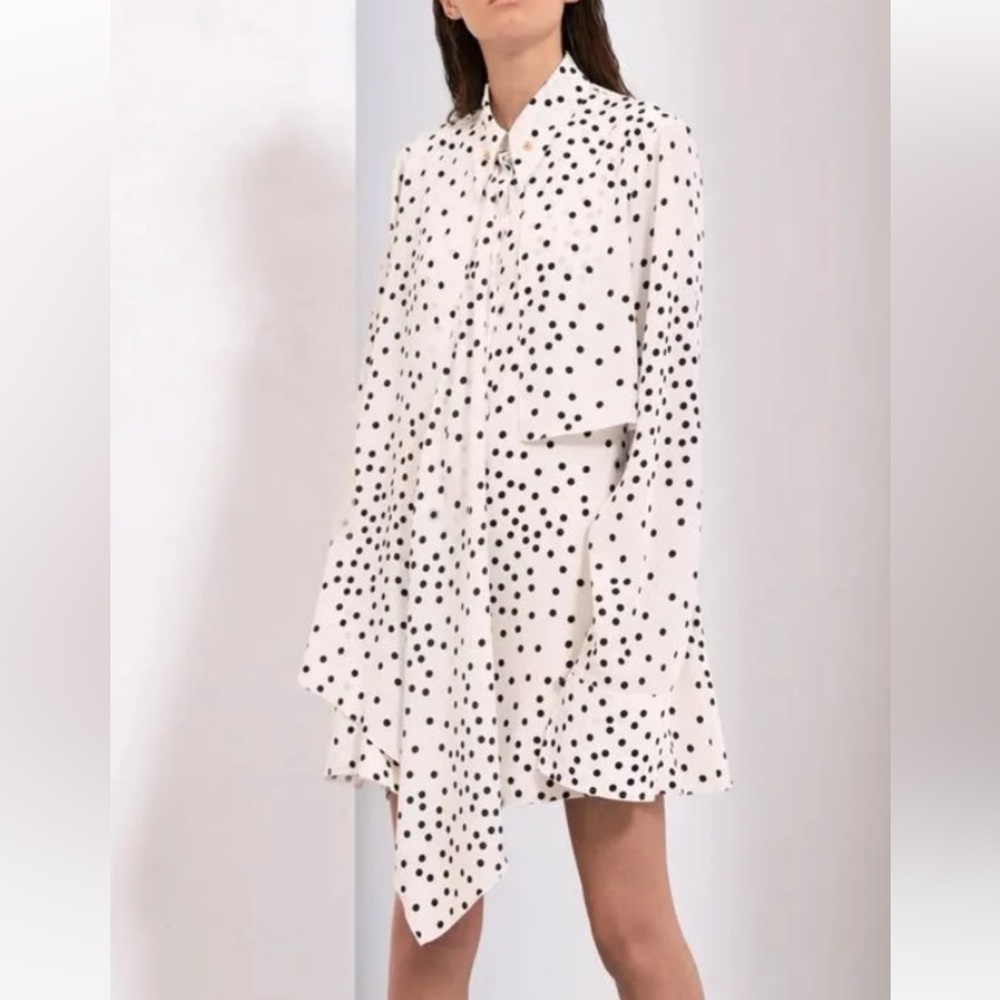 Stella McCartney Polka Dot Dress